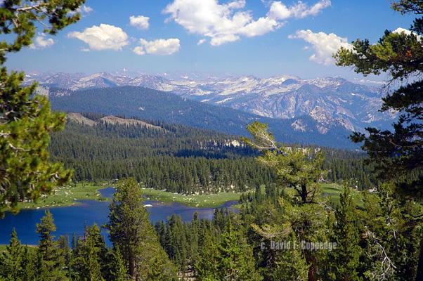 crown lake